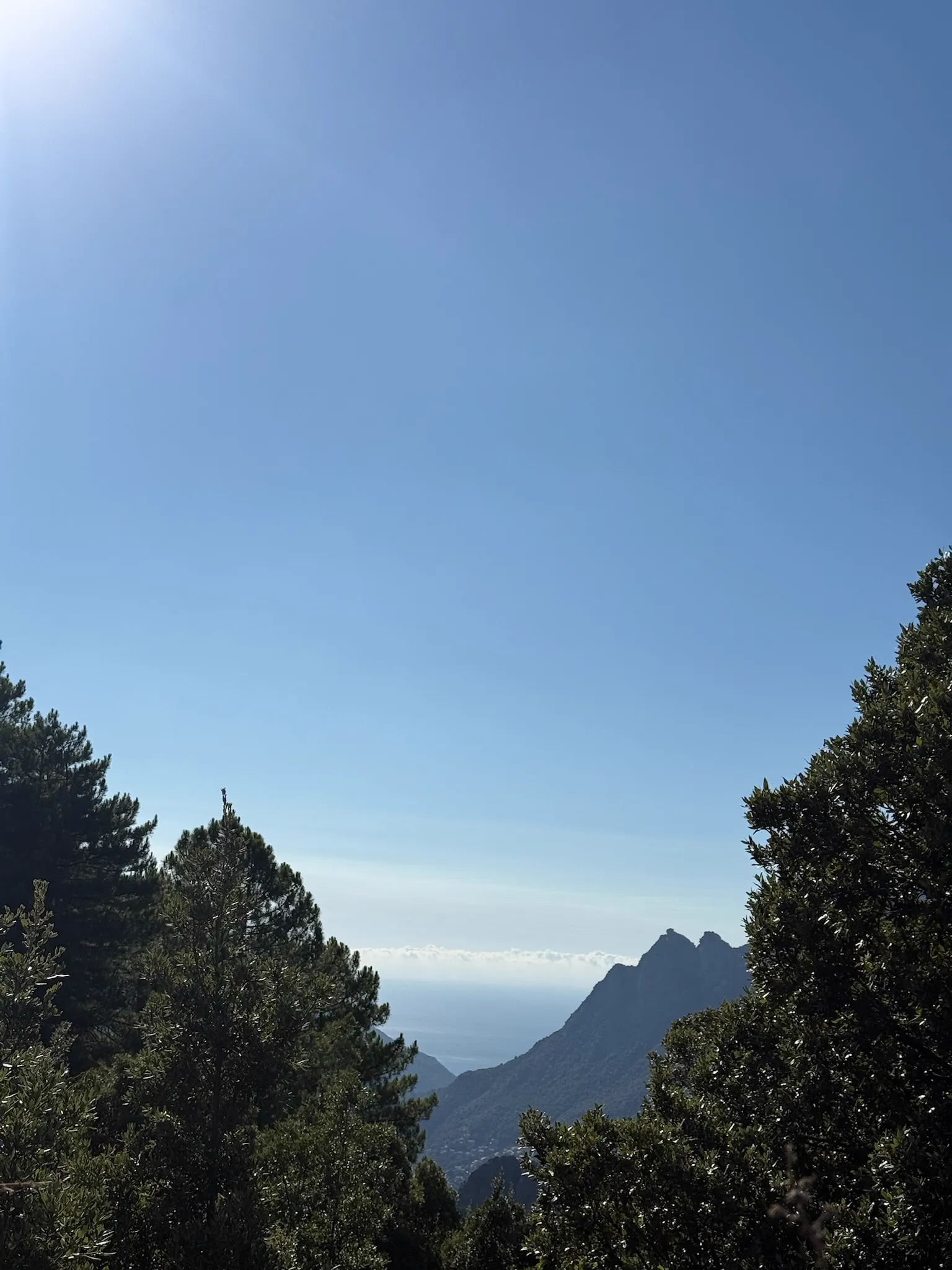 La montagne corse depuis Évisa