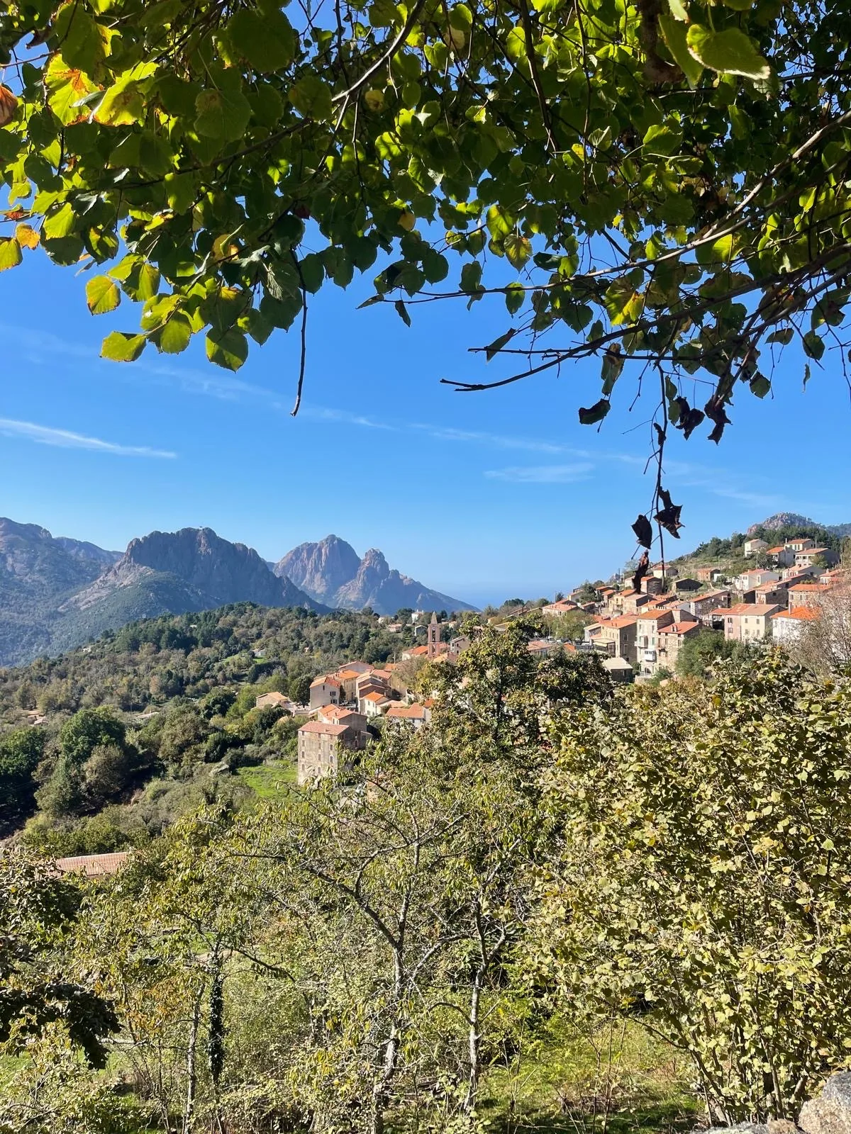Paysage d'Évisa